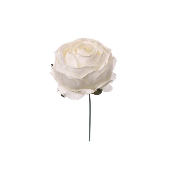 PICK ROSINO CM.8 WHITE